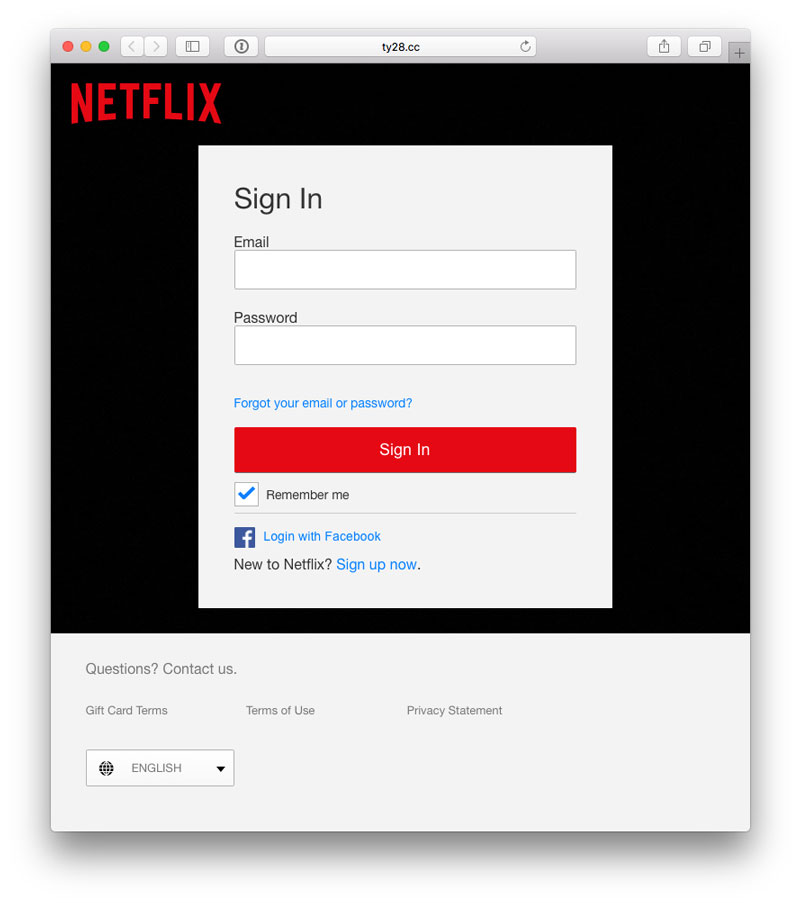 Fake Netflix Sign In Page
